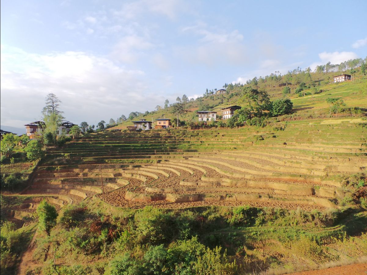 Punakha Hotel15